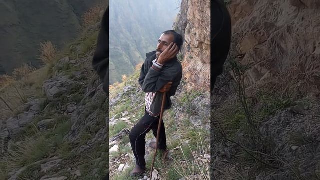 Chaman lal sharma смотреть онлайн
