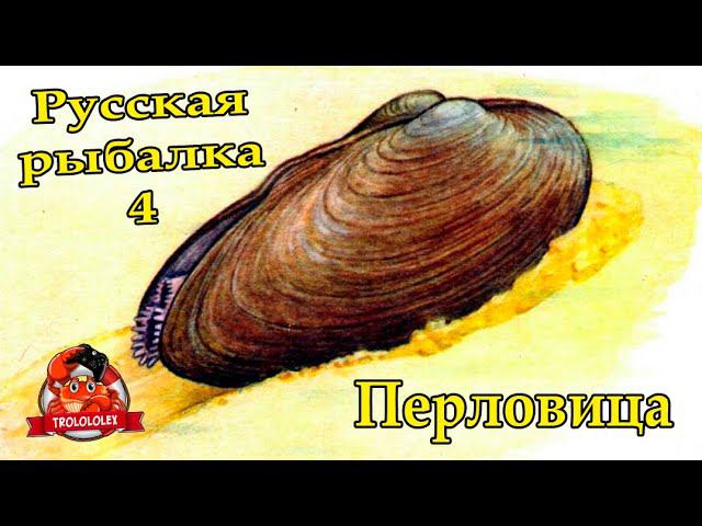 Русская рыбалка 4. Перловица. смотреть онлайн