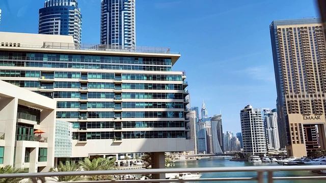 Лобовь-это цветок