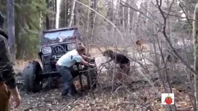 Подборка лучших видео с просторов интернета . Наука и техника. смотреть онлайн