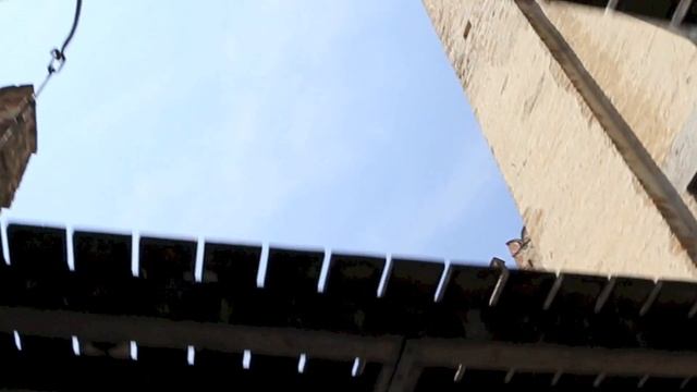 Звездные Искры