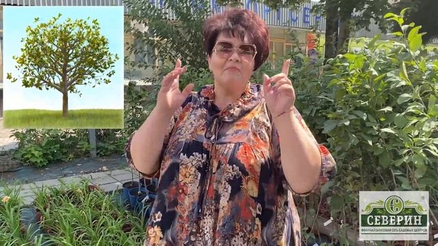 Хватит ждать - начни свой бизнес уже сегодня! смотреть онлайн