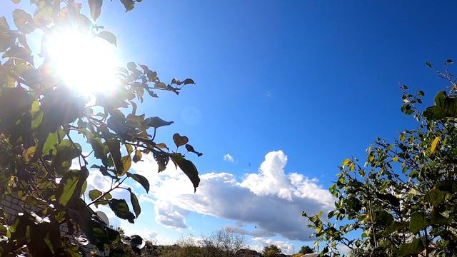 12 вещей, которые мужчины и женщины делают по-разному смотреть онлайн