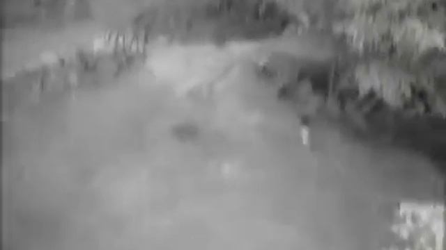 Розовощекий вепрь Иван смотреть онлайн