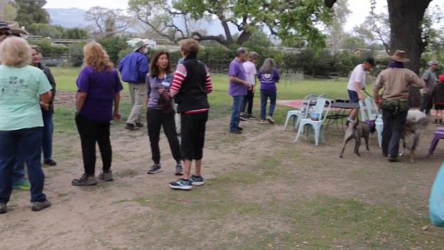 GCNW: Lavender Love - GC9871Z смотреть онлайн