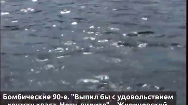 "Выпил бы с удовольствием кружку кваса. Нету, видите", - Жириновский, 22.08.1995 Санкт-Петербург смотреть онлайн