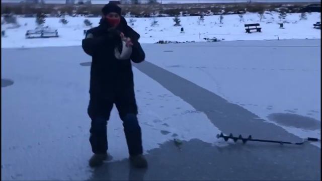 Вечерняя раздача на 3 секторе!Клёвое место д.Савельево . смотреть онлайн