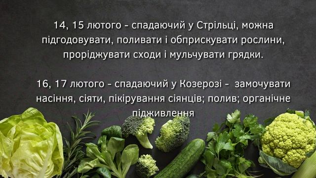 Коли сіяти, поливати, саджати? Місячний посівний календар на ЛЮТИЙ 2023: що робити по днях смотреть онлайн