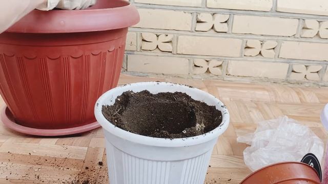 Шеффлера смотреть онлайн