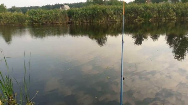 Рыбалка на озере Кривенькое