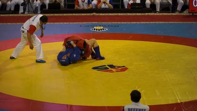 Открытый чемпионат Республики Беларусь по самбо (2018) смотреть онлайн