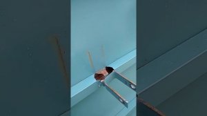 Прицеп для мотоблока  ТМ-350 Рязань