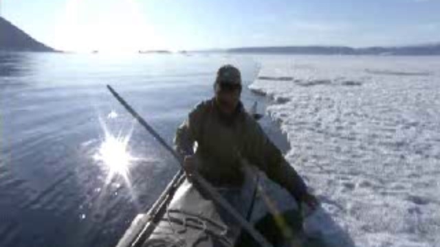 Арктика. Жизнь в лютый мороз смотреть онлайн