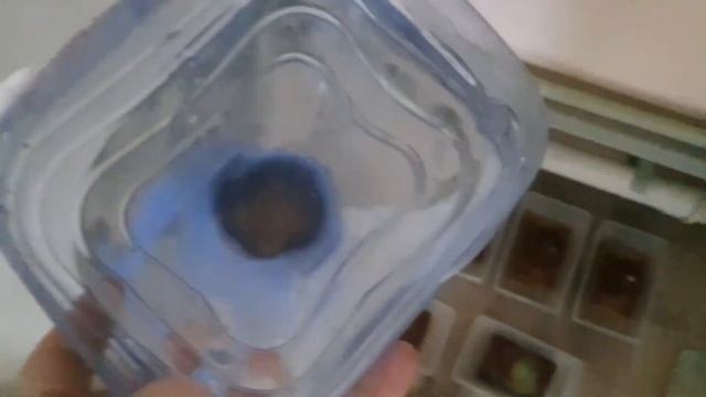 Заказал рыбок! Обращение к взаимным подписчикам! Ответ подписчикам насчет выгоды ) Будни аквариумов смотреть онлайн