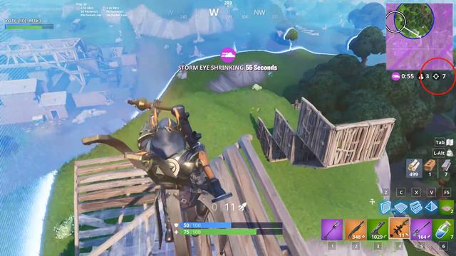 can I get my tenth solo win???😜 смотреть онлайн