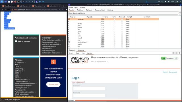 Authentication Vulnerabilities - Lab #1 Username Enumeration Via Different Responses | Short Versio