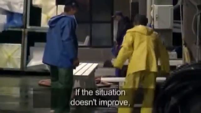 Дикая природа. Медузы смотреть онлайн