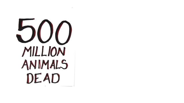 How Do Wildfires Affect Animals? смотреть онлайн