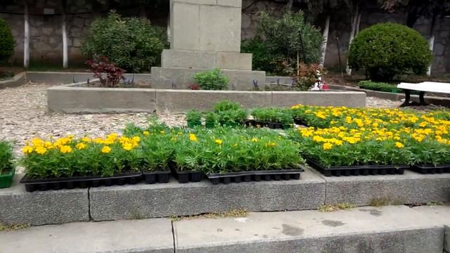 Алупка с каждым днём становится красивей Ура !!! смотреть онлайн