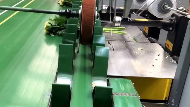 Peony Lemon Chiffon, Best Yellow Peonies For Cut-flowers At Peony Shop Holland - Www.peonyshop.com