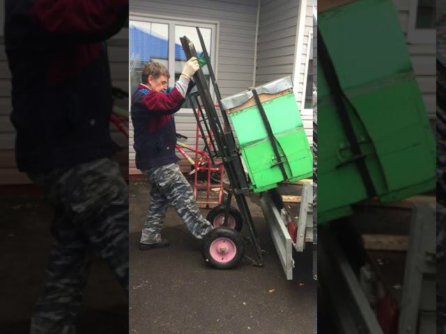 2341 смотреть онлайн