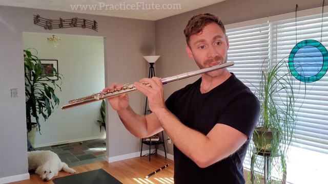 Drouet 25 Etudes, #6 in g minor смотреть онлайн