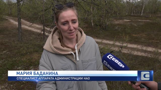 СОХРАНИМ ЛЕС смотреть онлайн