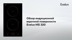 Обзор: Индукционная варочная панель Evelux HEI 320