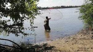 Рыбалка кастинговой сетью на Кубани.