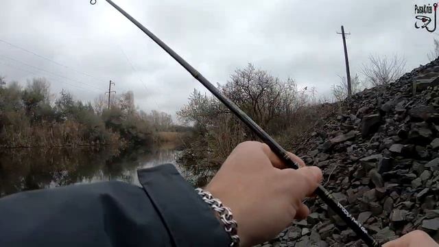 ТРИ вида рыбы, на ТРИ разных проводки! Ловлю рыбу в СОЛЁНОЙ воде. смотреть онлайн