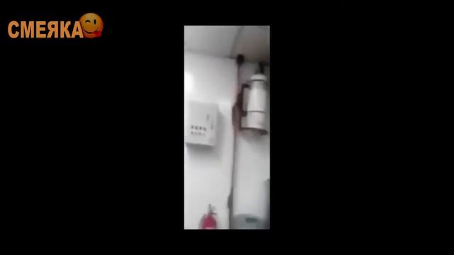 ПРИКОЛЫ С АРНОЛЬДОМ | ЖЕЛЕЗНЫЙ ЮМОР смотреть онлайн