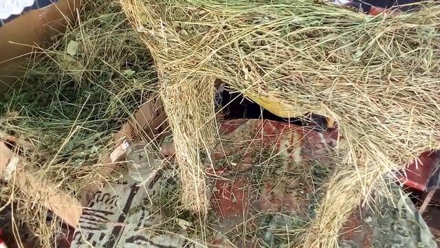 ПОЛ ДЕЛА СДЕЛАНО. ЛОШАДЬ ИЗ СЕНА. ЧАСТЬ-4.