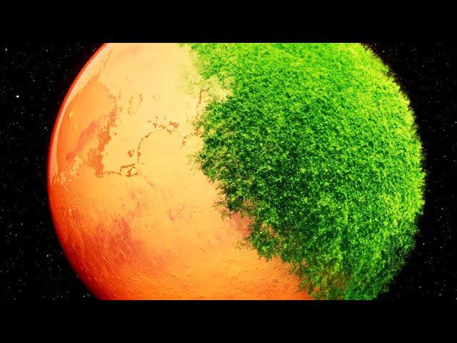 Люди прибыли на Землю с МАРСА? Теории о том что жизнь зародилась на красной Планете