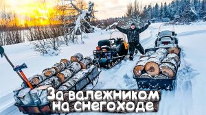 СИБИРЬ.ЗАГОТОВКА ДРОВ В ДЕРЕВНЕ