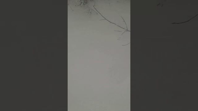 рыбалка #зима # снегоход смотреть онлайн