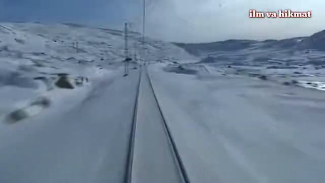 Зийонкор инсон ким?????? смотреть онлайн
