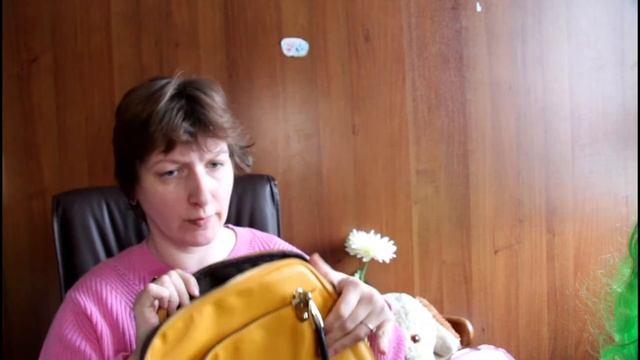 Cумка превращается в переноску. DIY #еленагалкина смотреть онлайн