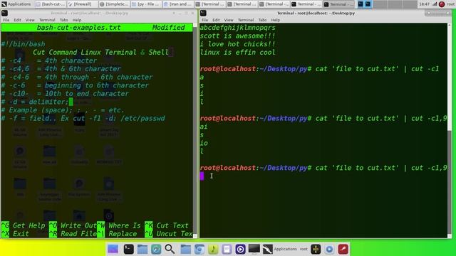 How To Cut Text Out Of Output & Files In Linux And Shell Scripts Using Cut Command смотреть онлайн