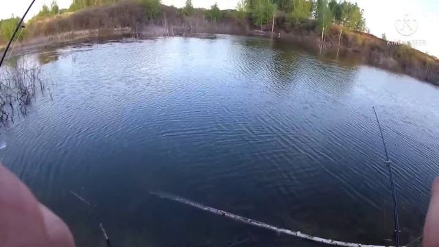 Рыбалка на дачном пруду в Осташкова. 21.01.22 смотреть онлайн