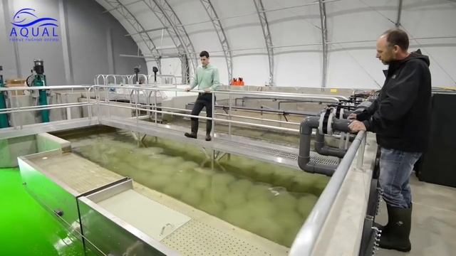 Оборудование для автоматизации работы рыбных хозяйств на базе УЗВ