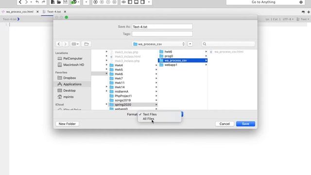 Web application that reads csv file - Prof. Pinto смотреть онлайн