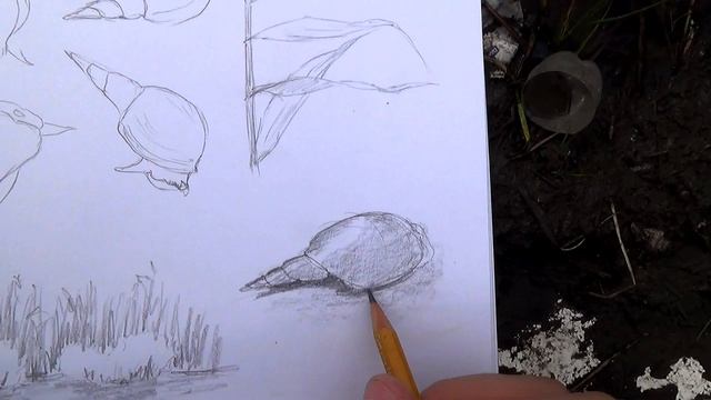 Экскурсия №6 - Рыбалка на Яицких озерах смотреть онлайн