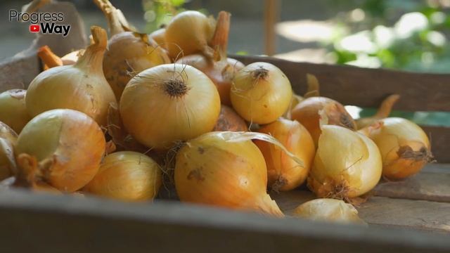 КАЖДЫЙ КИТАЕЦ ЗНАЕТ С ПЕЛЕНОК ЭТА СМЕСЬ ВЫТЯНЕТ ВСЮ боль из колен и суставов! Лук, лимон, желатин.. смотреть онлайн