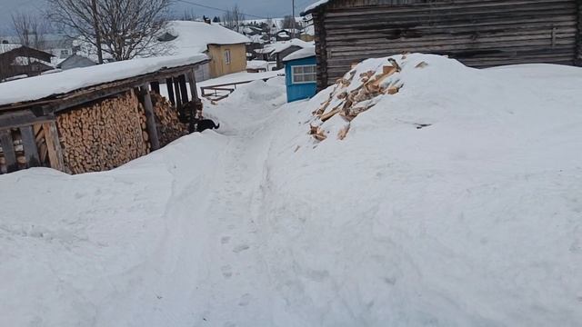 Погода резко изменилось. Пошёл дождь и шквалистый ветер. смотреть онлайн