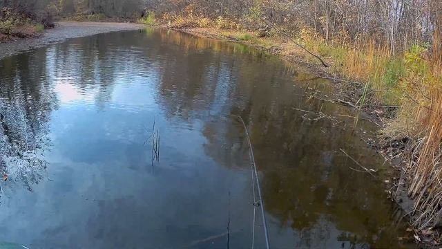 Чардым 18 октября 2020 г. Щука в протоках. Рыбалка в Саратовской области. смотреть онлайн