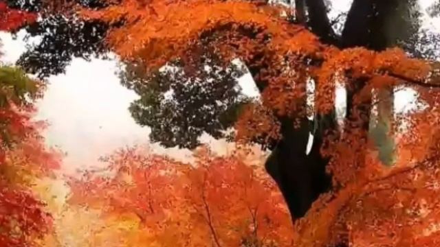 Дили Ғофил Бикун Тавба смотреть онлайн