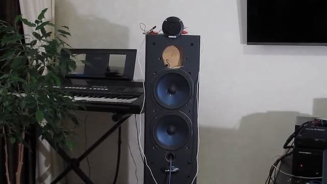 Замена ВЧ в "Polk Audio" смотреть онлайн