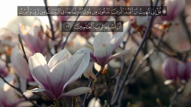 Surah Al Ghafir Verse no 64-68 English Quran смотреть онлайн