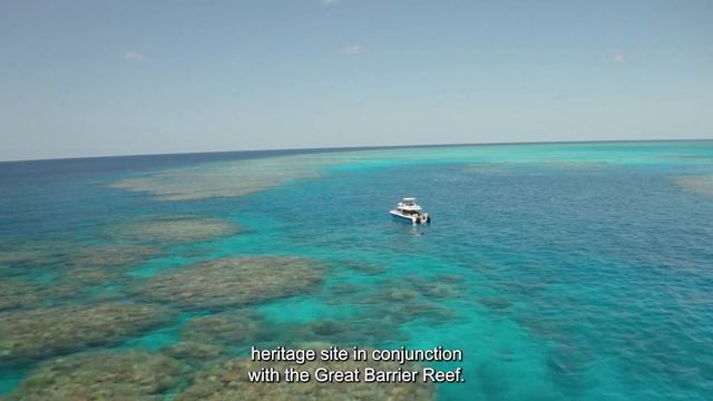 Making waves: A hundred years of coral reef science смотреть онлайн
