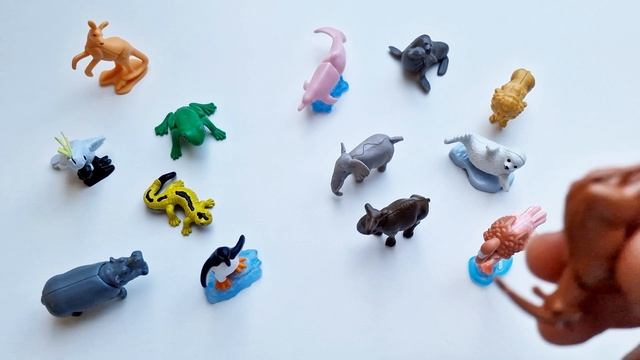 Kinder Surprise Natoons 2023 / Kinder Surprise Animals - Complete collection of animals! смотреть онлайн